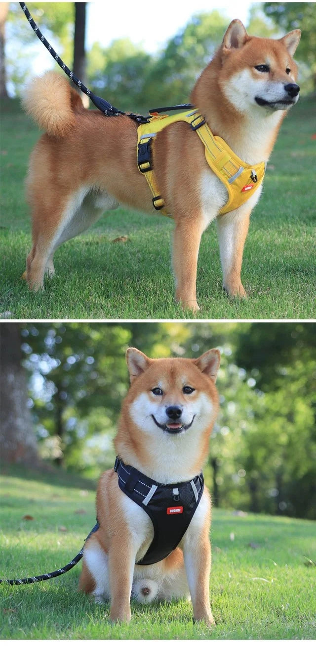 No Pull Dog Harness for Pets