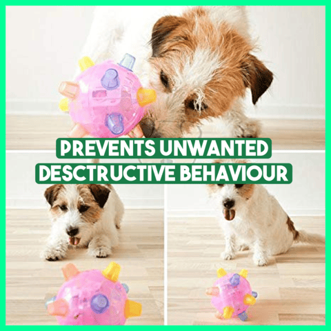 💥Hot Sale💥🔥Jumping activation ball for dogs and cats🐶