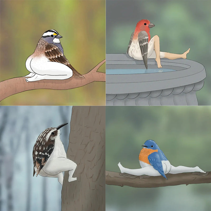 🎄Christmas Promotion-49% OFF🎄Accurate Bird Calendar For 2024🐦