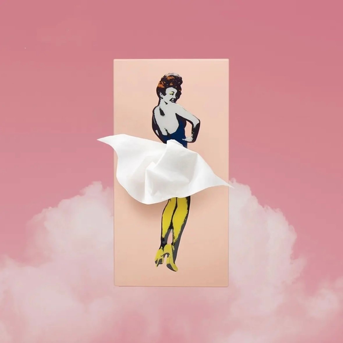 🔥LAST DAY 48% OFF🎁 - Flying Skirt Tissue Box