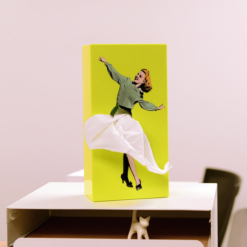 🔥LAST DAY 48% OFF🎁 - Flying Skirt Tissue Box