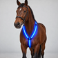 🐎✨ Light-Up Horse Riding Set – Shine on Every Ride!