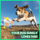 💥Hot Sale💥🔥Jumping activation ball for dogs and cats🐶
