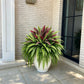 💥 Summer Special 🔥 UV-Resistant Artificial Ferns & Red Dragon Trees – Lush Greenery That Stays Fresh All Year Round!
