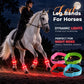 LED Horse Leg Bands | High-Visibility Light-Up Bands for Night Riding