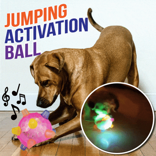 💥Hot Sale💥🔥Jumping activation ball for dogs and cats🐶