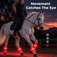 LED Horse Leg Bands | High-Visibility Light-Up Bands for Night Riding