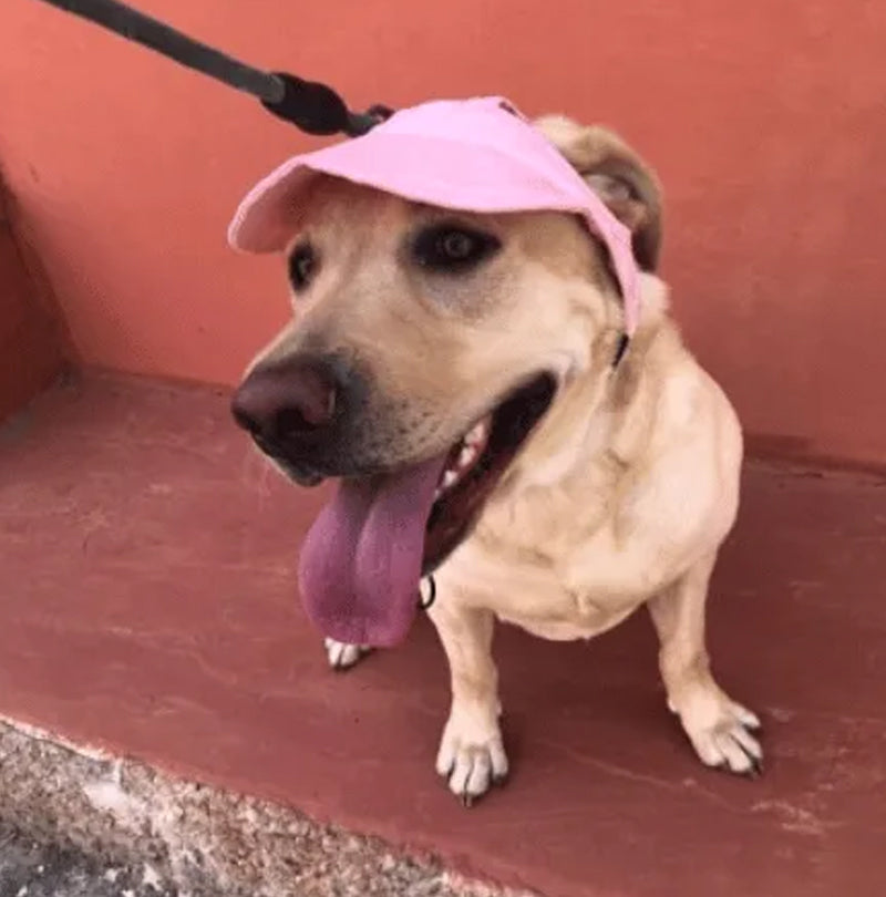 👍Last Day Promotion 49% OFF💥Outdoor Sun Protection Hood For Dogs