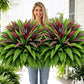 💥 Summer Special 🔥 UV-Resistant Artificial Ferns & Red Dragon Trees – Lush Greenery That Stays Fresh All Year Round!