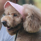 👍Last Day Promotion 49% OFF💥Outdoor Sun Protection Hood For Dogs