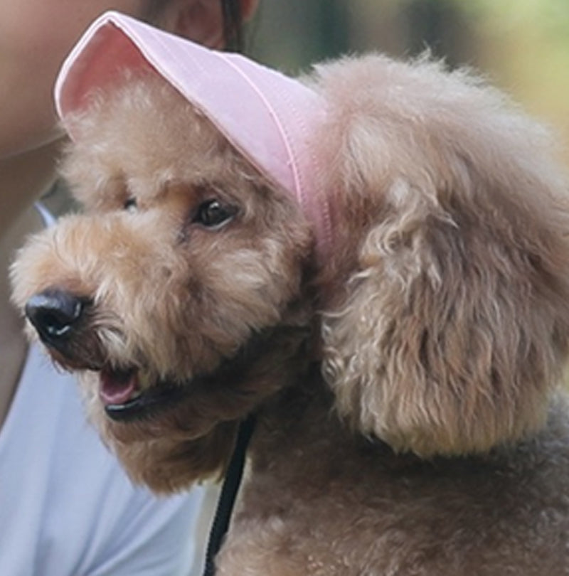👍Last Day Promotion 49% OFF💥Outdoor Sun Protection Hood For Dogs