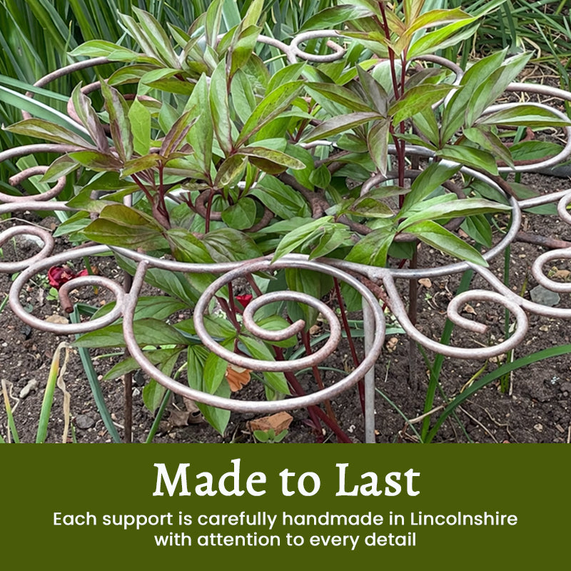 🌿Plant Support