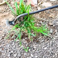 💖⛏New Weeding Artifact Uprooting Weeding Tool