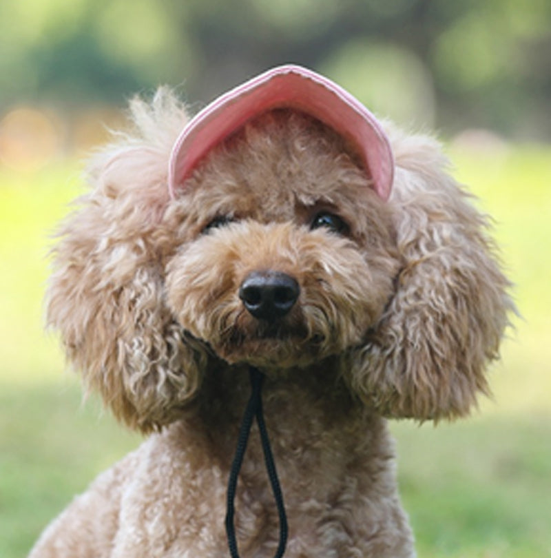👍Last Day Promotion 49% OFF💥Outdoor Sun Protection Hood For Dogs