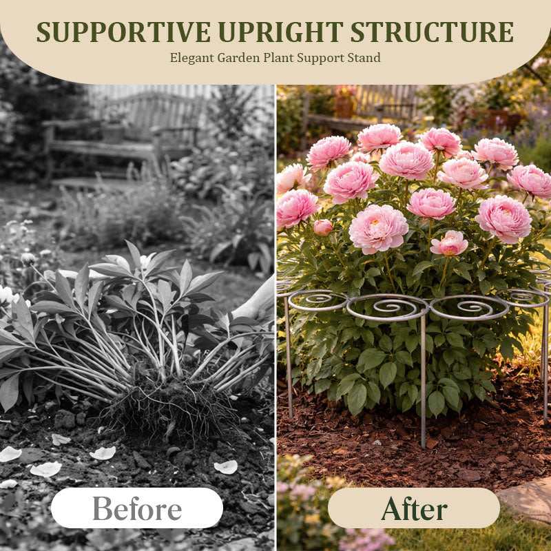 🌷Elegant Garden Plant Support Stand