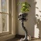 Gothic Skull Planter And Skeleton Vase Spooky Home Decor