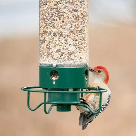 🔥Last Day Promotion 49% OFF🔥Squirrel-Proof Bird Feeder