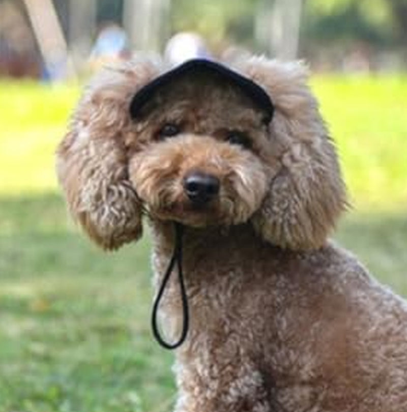 👍Last Day Promotion 49% OFF💥Outdoor Sun Protection Hood For Dogs