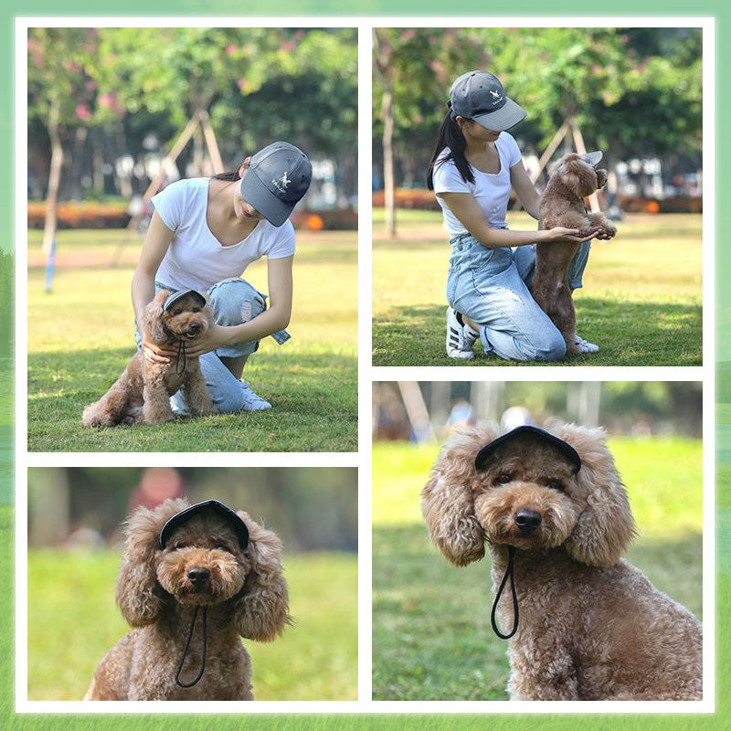 👍Last Day Promotion 49% OFF💥Outdoor Sun Protection Hood For Dogs