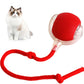 Smart Chasing Pet Toy Ball