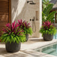 💥 Summer Special 🔥 UV-Resistant Artificial Ferns & Red Dragon Trees – Lush Greenery That Stays Fresh All Year Round!