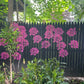 ✨LAST DAY: 49% OFF! - 💐Garden Fence Large Flower Stencils🌻DIY Decoration