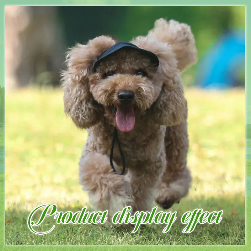 👍Last Day Promotion 49% OFF💥Outdoor Sun Protection Hood For Dogs