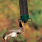 🔥Last Day Promotion 49% OFF🔥Squirrel-Proof Bird Feeder