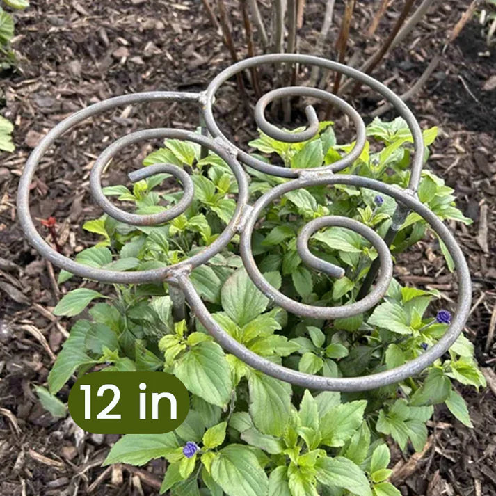 🌿Plant Support