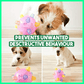 💥Hot Sale💥🔥Jumping activation ball for dogs and cats🐶