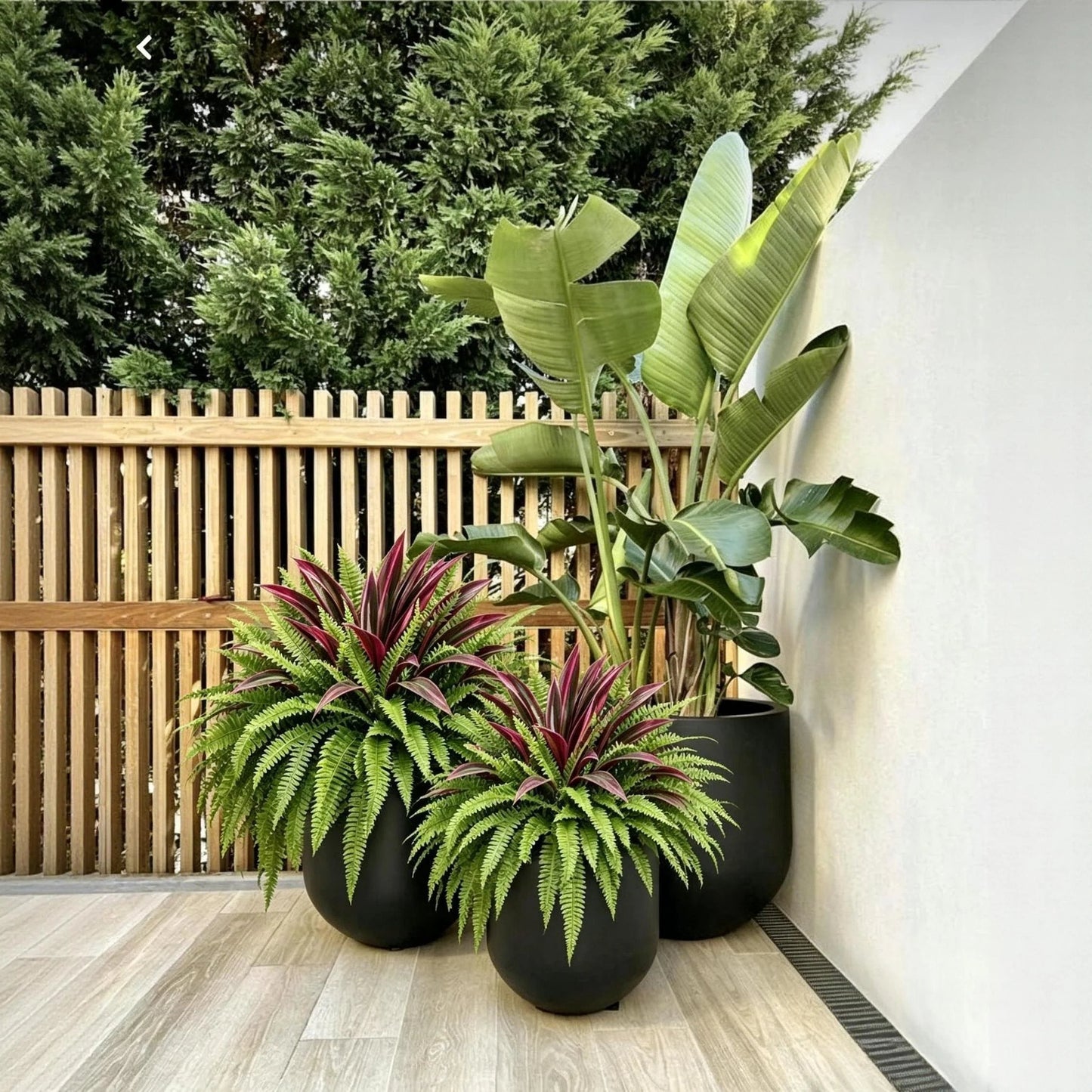 💥 Summer Special 🔥 UV-Resistant Artificial Ferns & Red Dragon Trees – Lush Greenery That Stays Fresh All Year Round!