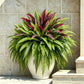 💥 Summer Special 🔥 UV-Resistant Artificial Ferns & Red Dragon Trees – Lush Greenery That Stays Fresh All Year Round!