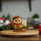 🦉2026 Owl Advent Calendar – 24-Day Christmas Countdown with Collectible Owl Figurines